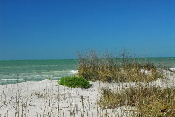 Beach area