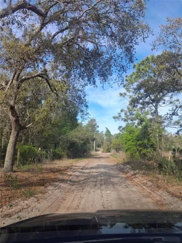 Dirt Road