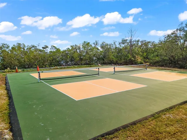 Community Rec Area - Pickleball - Optional