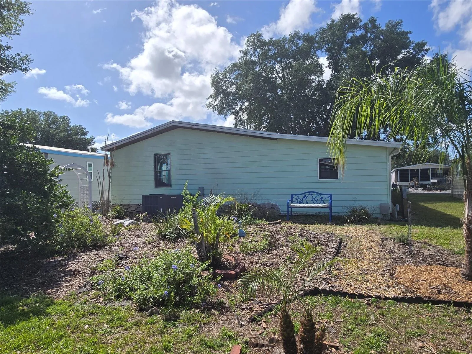 Back yard
