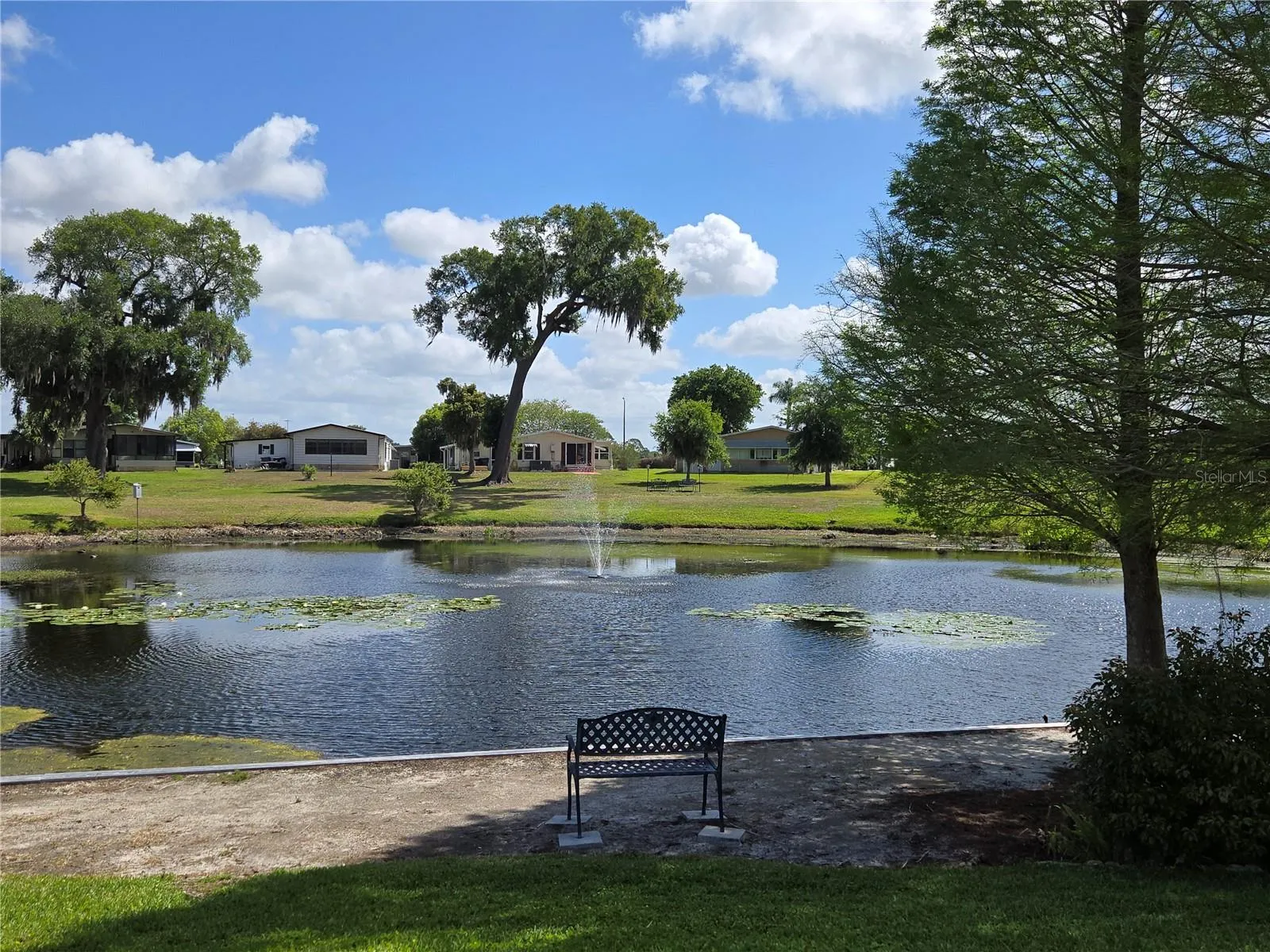 Pretty pond