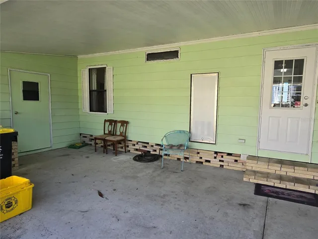 Back door and shed entry