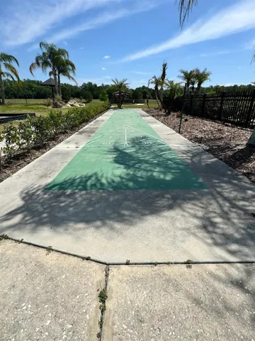 Shuffleboard