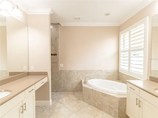 Owner's bath