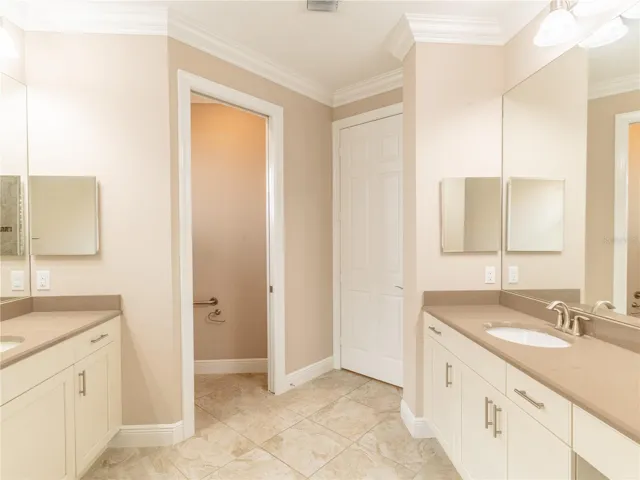 Owner's bathroom