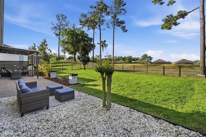back yard