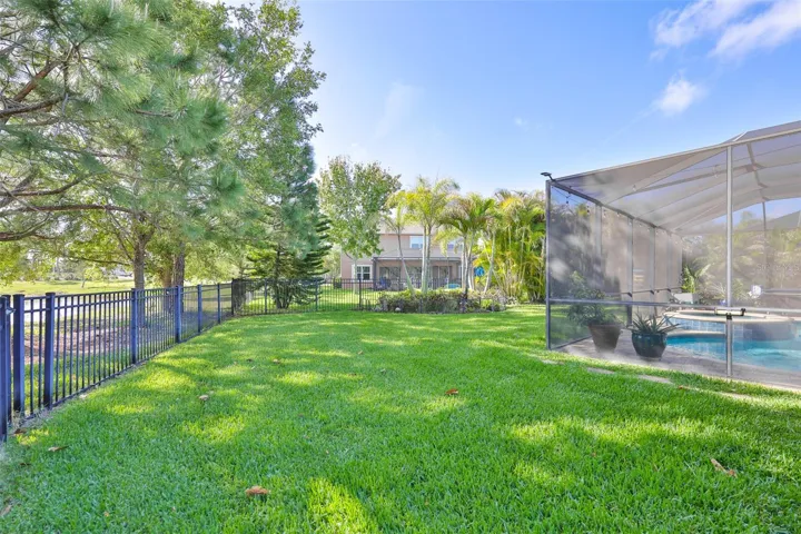 Back yard