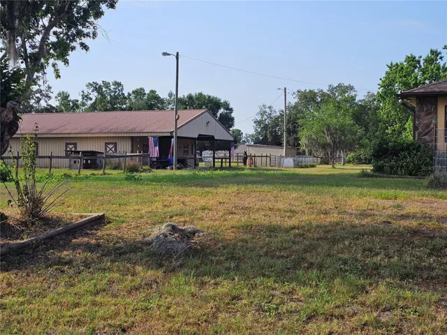 back yard