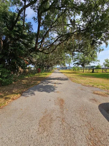 Driveway