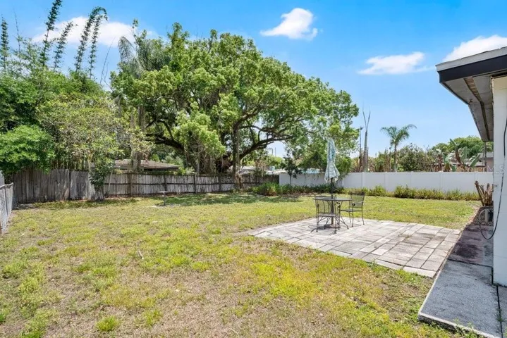 Spacious Back Yard