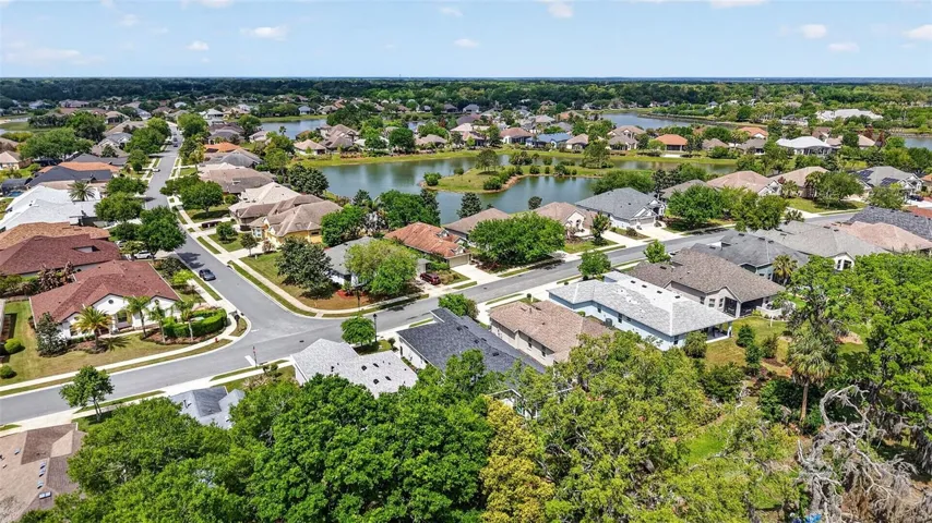 More of the Lakes of Mount Dora neighborhood.