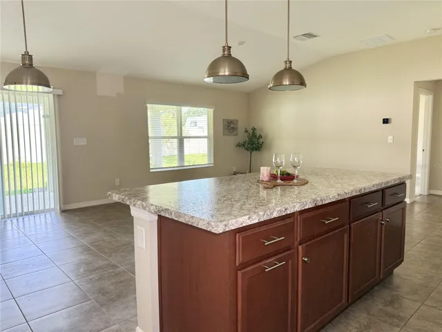 Kitchen and Living Area