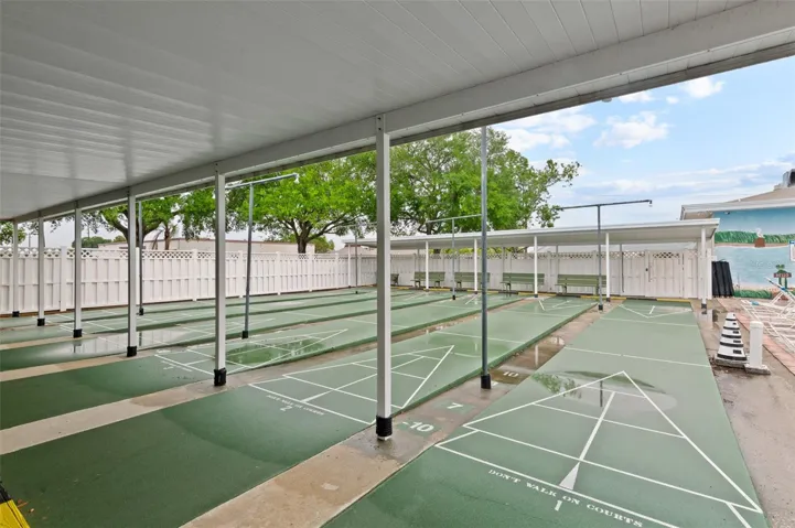 Shuffleboard