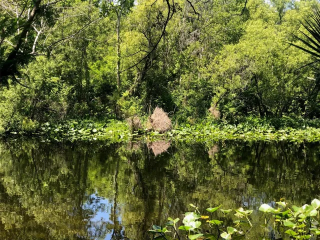 Imagine Living on the Wekiva River!
