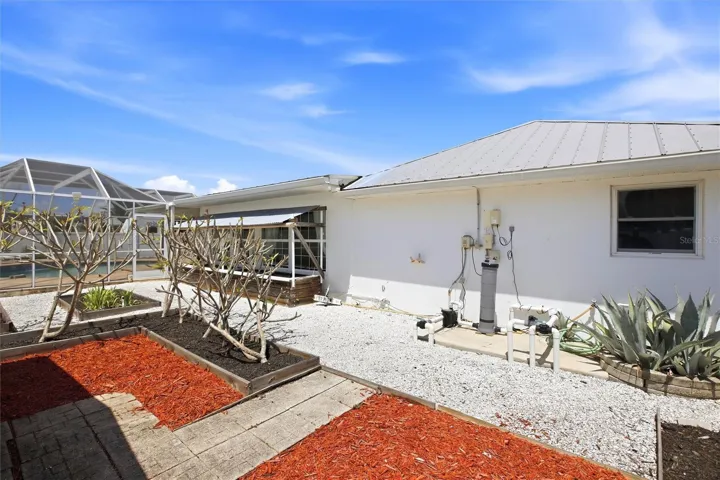 Low Maintenance back yard