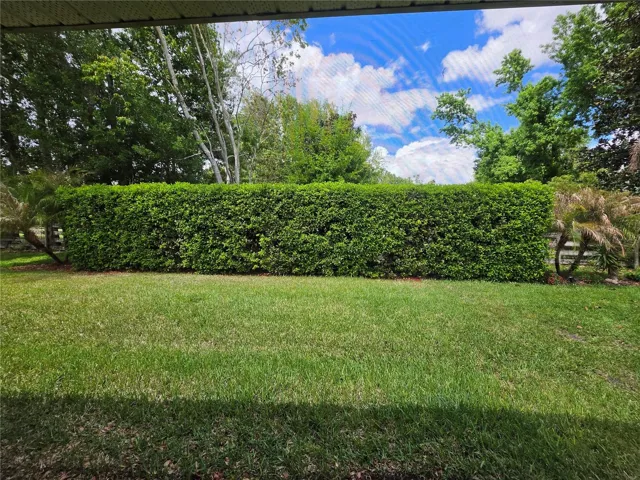 tree hedge so no neighbors behind
