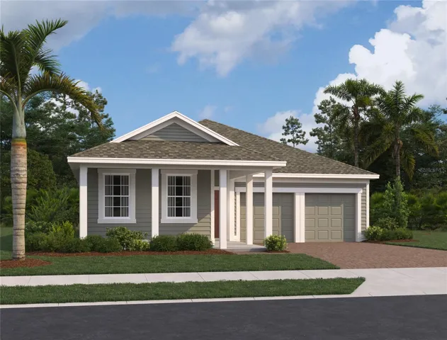 Elevation Rendering