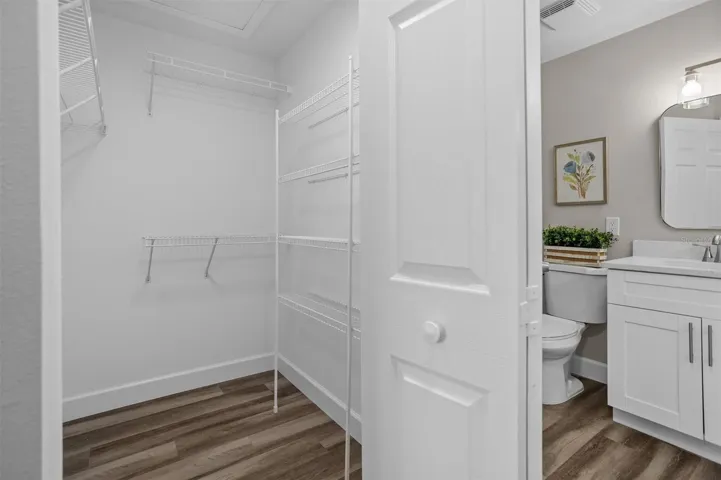 Master walk in closet