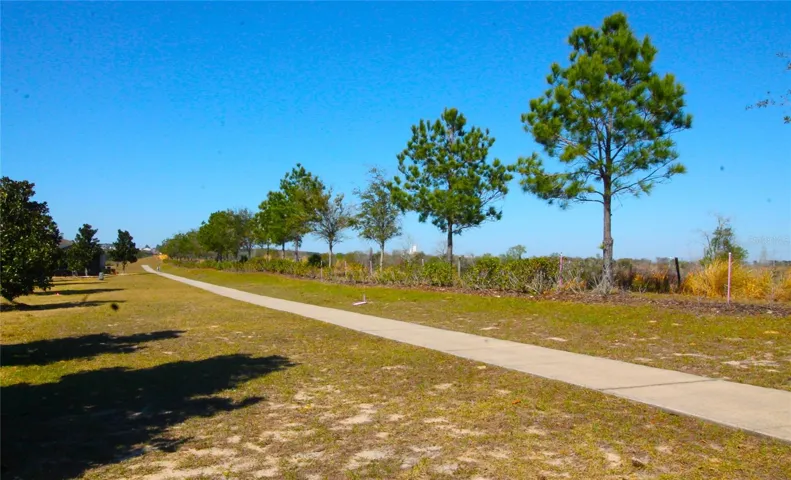 Walking Trail