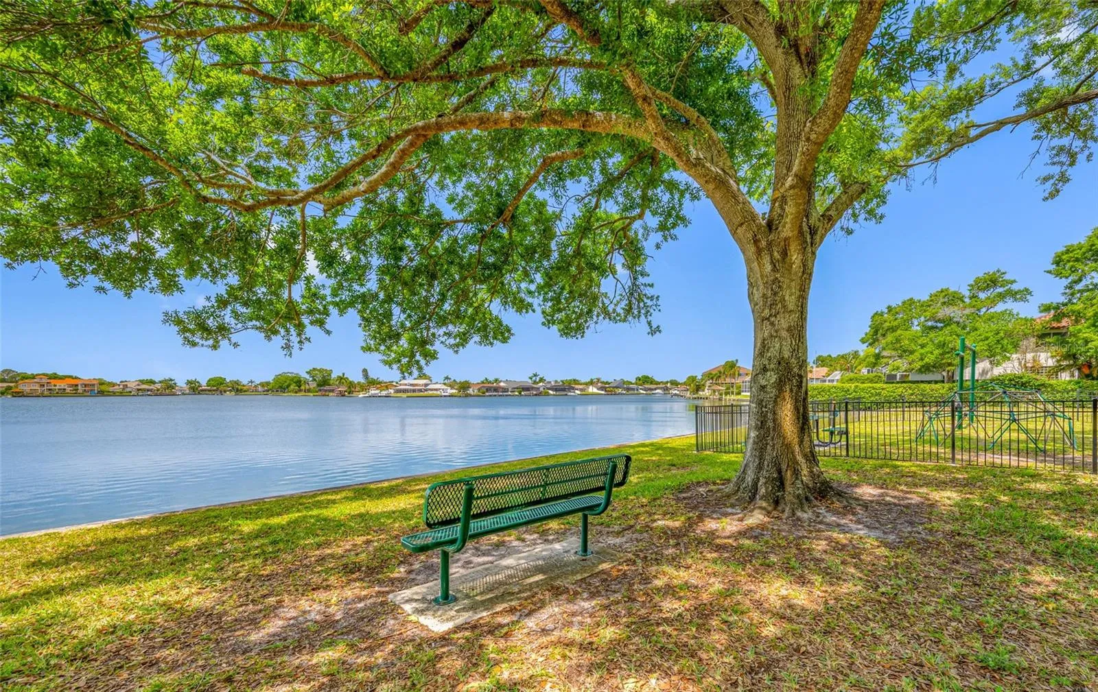 Bench