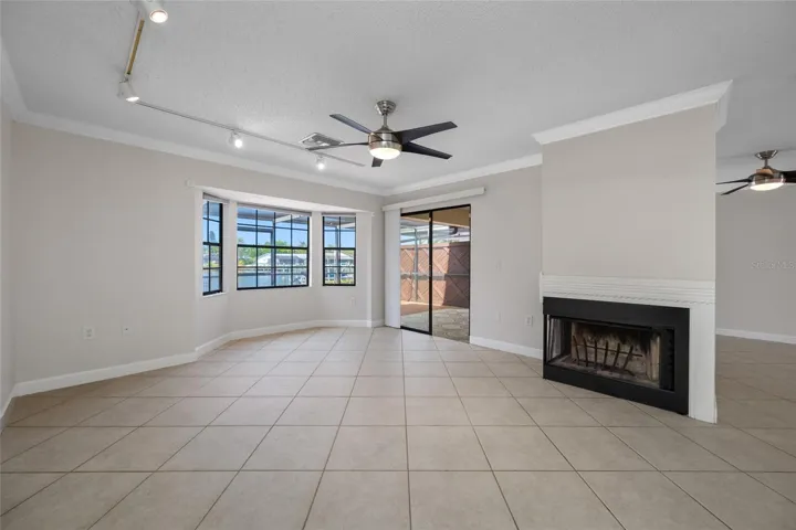 Family Room fireplace