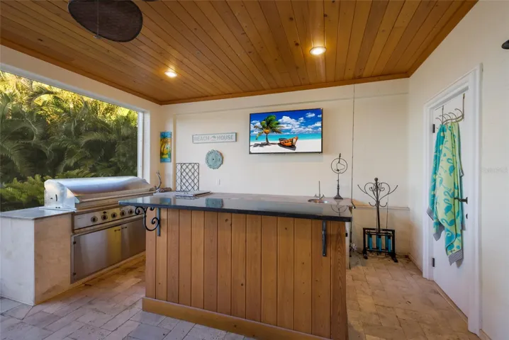 Outdoor Kitchen/Dining