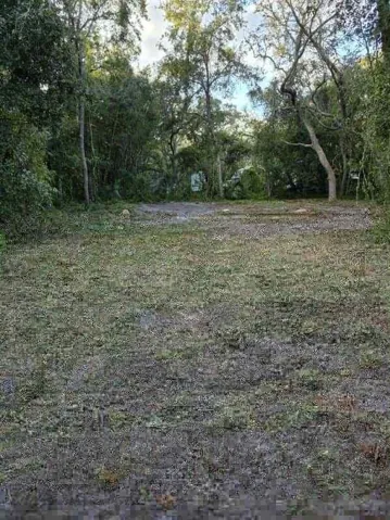 cleared out area
