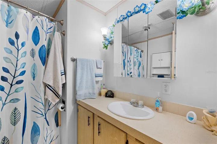 Guest bathroom.