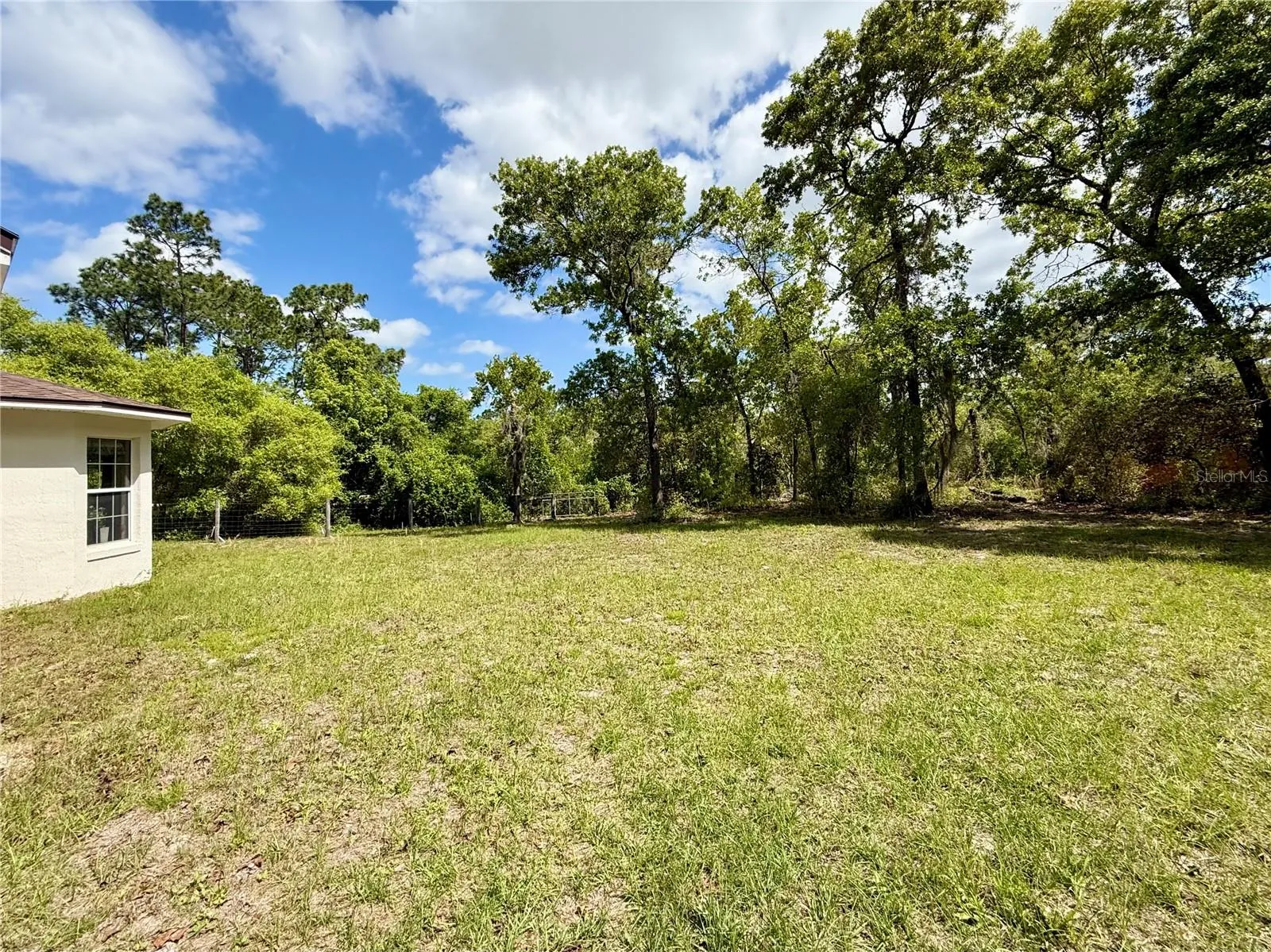 Side back of property