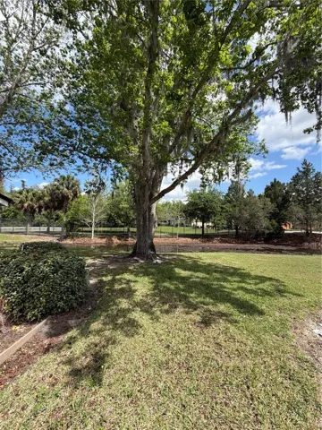 Rear Yard/View