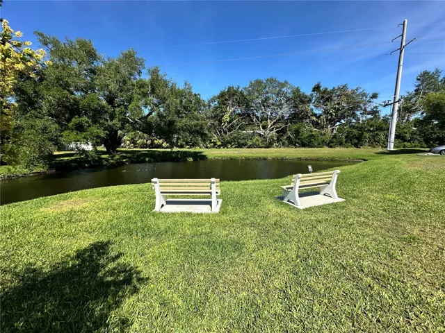Pond b
