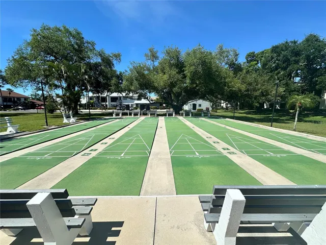 Shuffleboard Courts