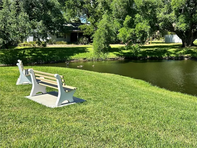 Pond