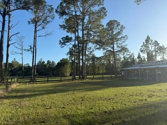 Pole barn and view of back acreage (land past fence is part of property).