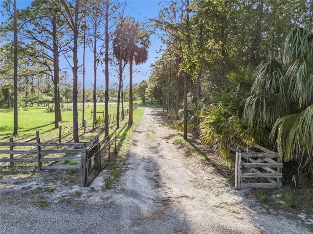 Gate and drive to the property.