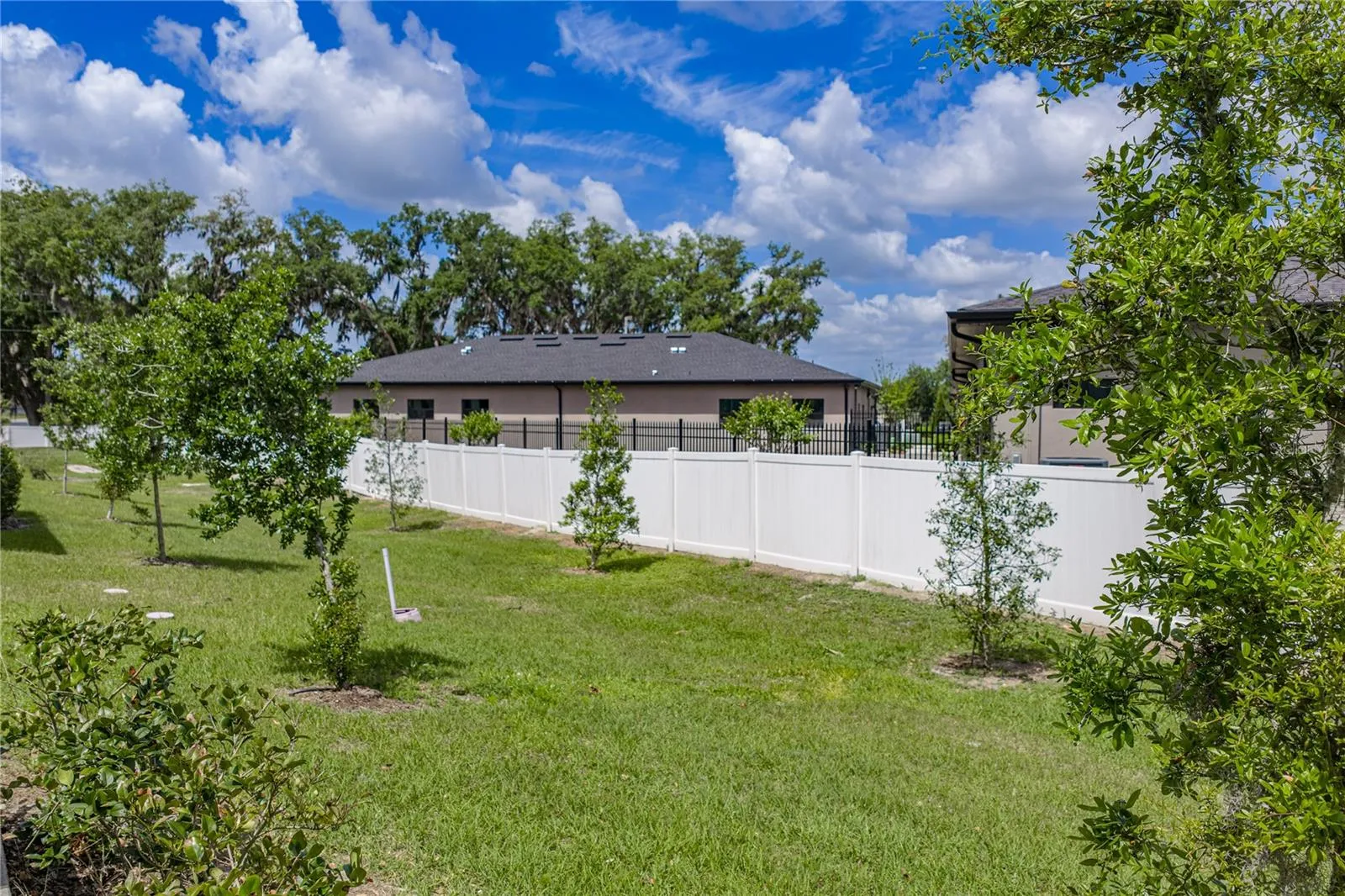 Large Back Yard Space and Open Green Area