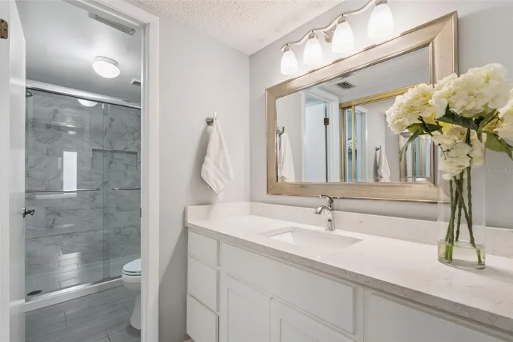 Primary bathroom vanity Area