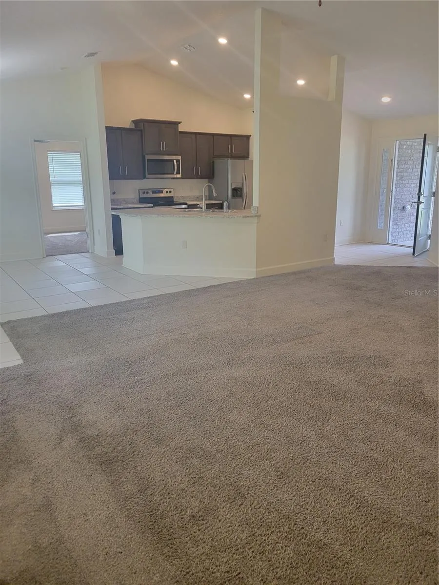 Living room/Kitchen