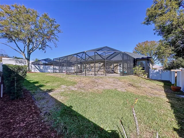 Back yard