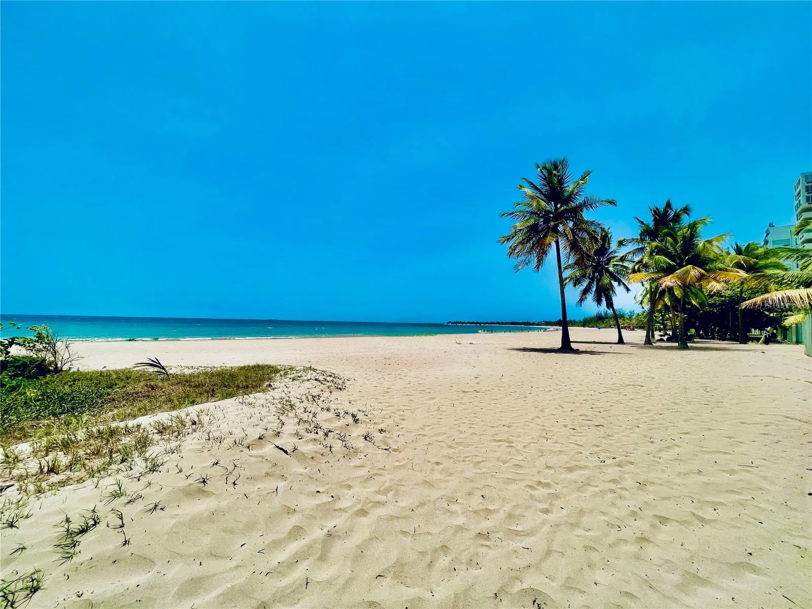 Beach area