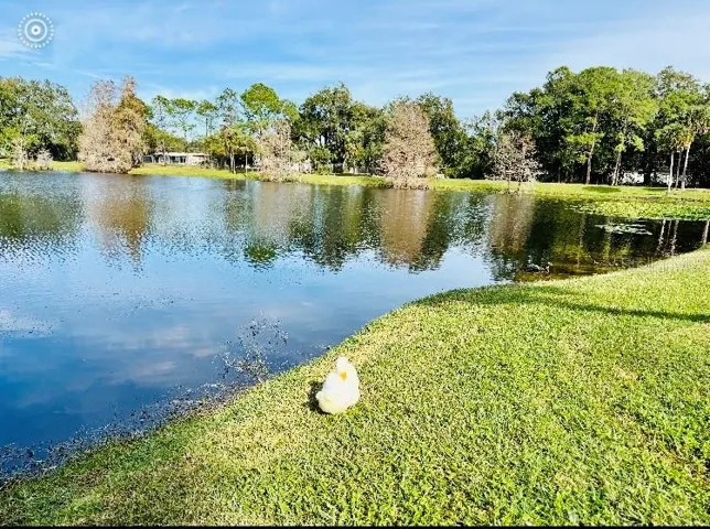 View toward Demetree Park