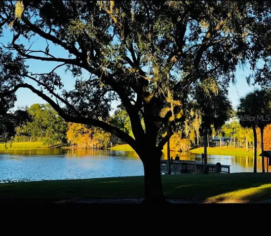 View toward Demetree Park