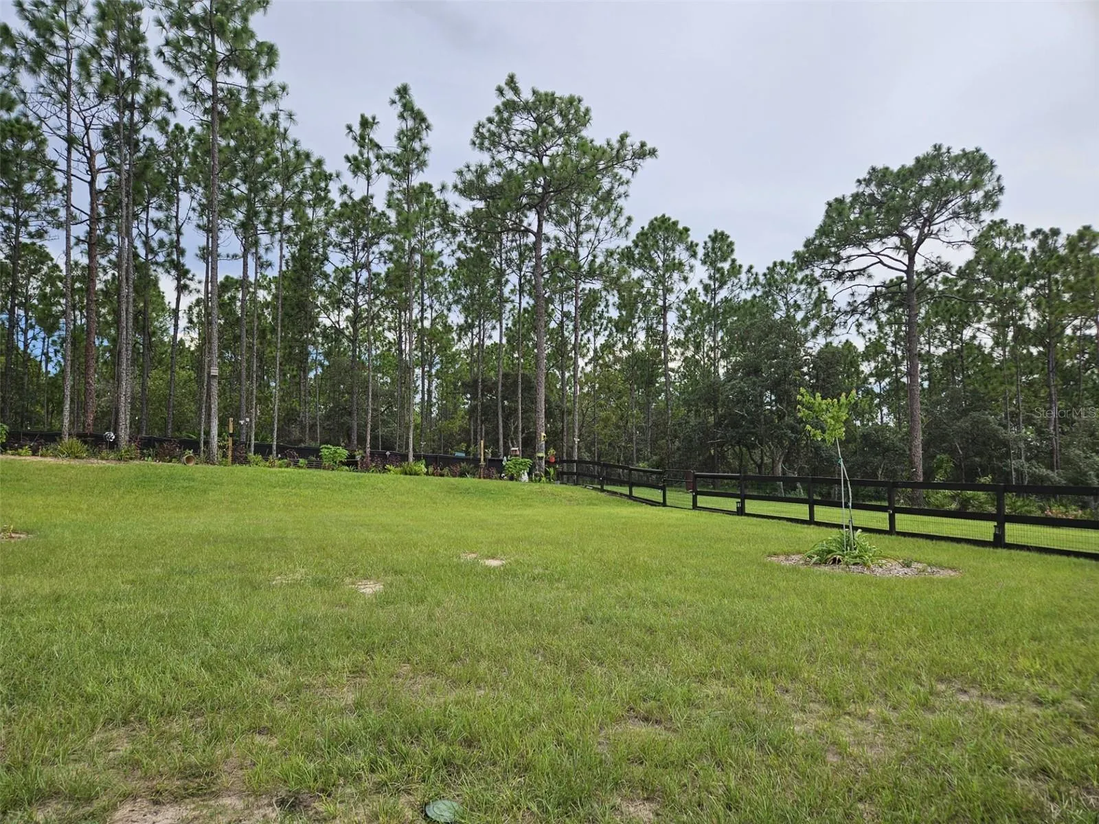 Backyard partially fenced.    Behind property is the Horse Trail