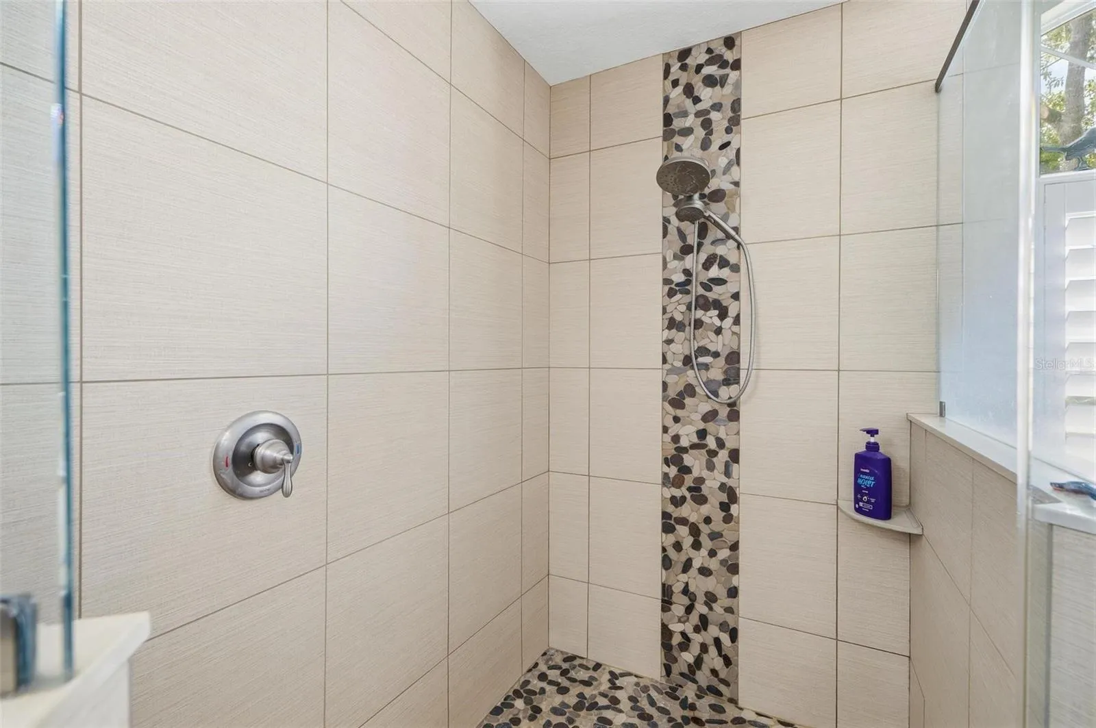 Primary Bathroom Walk-in Shower