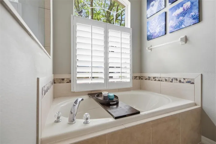 Primary Bathroom Tub
