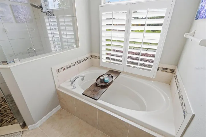 Primary Bathroom Tub