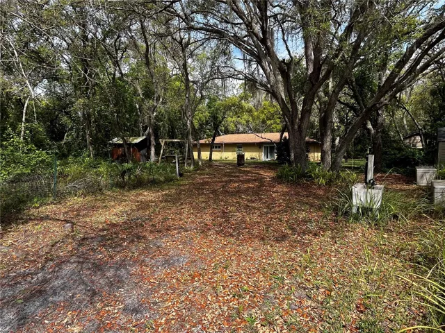 View from back of property