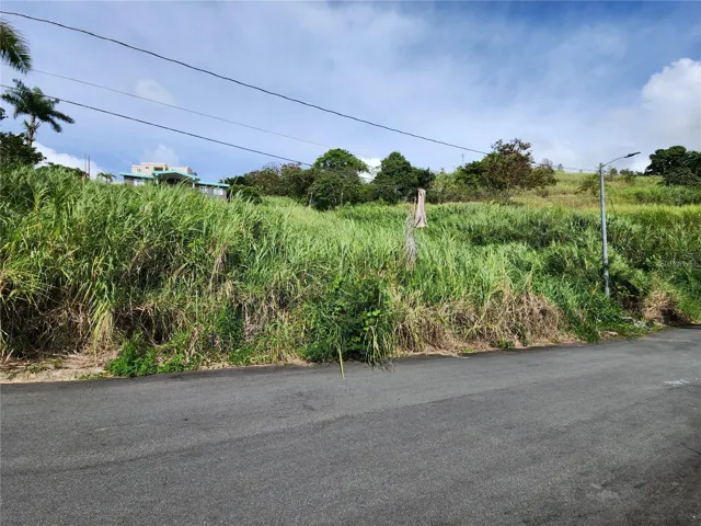 Vista Frontal