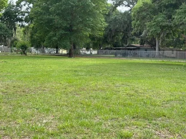 Expansive Vacant Lot