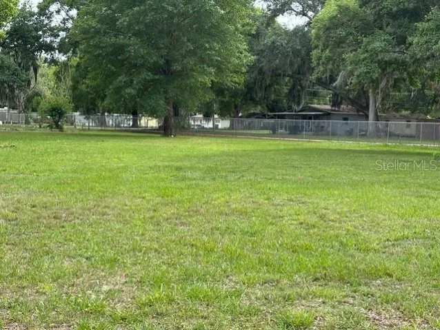Expansive Vacant Lot